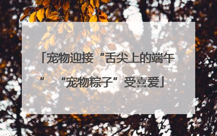 宠物迎接“舌尖上的端午” “宠物粽子”受喜爱