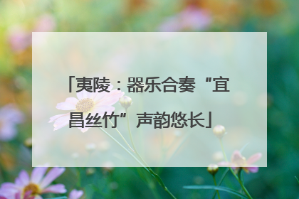 夷陵：器乐合奏“宜昌丝竹”声韵悠长