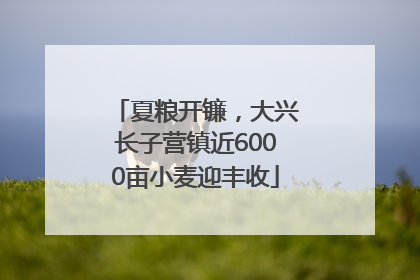 夏粮开镰，大兴长子营镇近6000亩小麦迎丰收