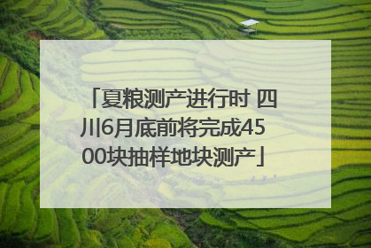 夏粮测产进行时 四川6月底前将完成4500块抽样地块测产