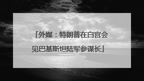 外媒：特朗普在白宫会见巴基斯坦陆军参谋长