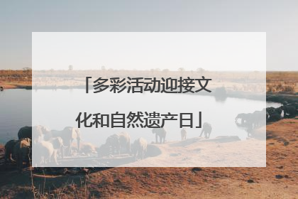 多彩活动迎接文化和自然遗产日