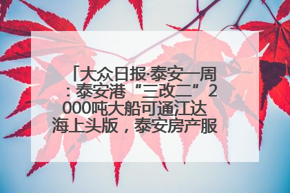 大众日报·泰安一周：泰安港“三改二”2000吨大船可通江达海上头版，泰安房产服务改革经验全省推广