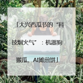 大兴西瓜节的“科技烟火气”：机器狗搬瓜、AI摊煎饼