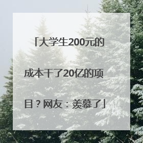 大学生200元的成本干了20亿的项目？网友：羡慕了