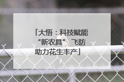 大悟：科技赋能“新农具” 飞防助力花生丰产