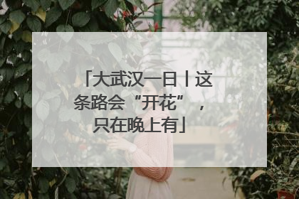 大武汉一日丨这条路会“开花”，只在晚上有