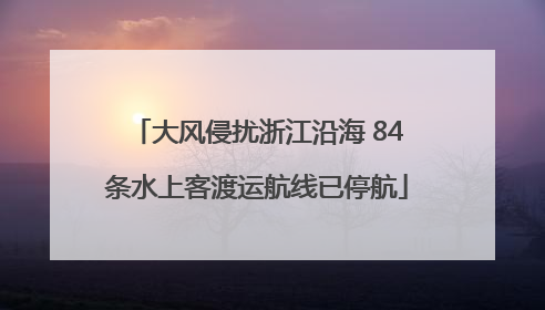 大风侵扰浙江沿海 84条水上客渡运航线已停航