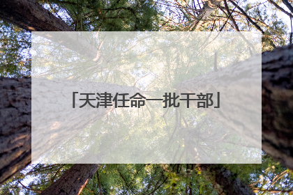 天津任命一批干部