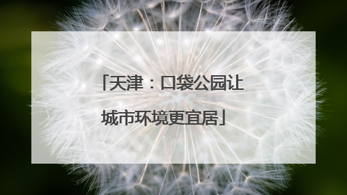 天津：口袋公园让城市环境更宜居