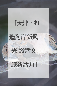天津：打造海岸新风光 激活文旅新活力