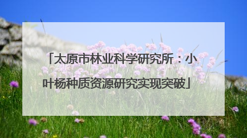 太原市林业科学研究所：小叶杨种质资源研究实现突破