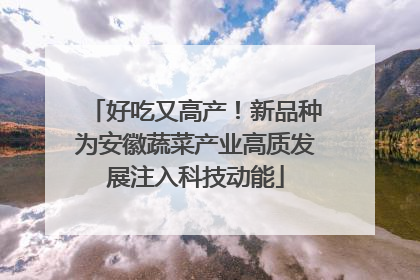好吃又高产！新品种为安徽蔬菜产业高质发展注入科技动能