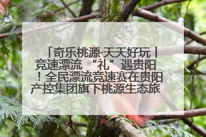 奇乐桃源·天天好玩丨竞速漂流 “礼”遇贵阳！全民漂流竞速赛在贵阳产控集团旗下桃源生态旅游度假区举行