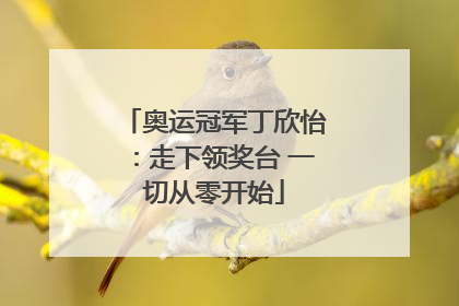 奥运冠军丁欣怡：走下领奖台 一切从零开始