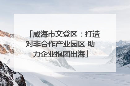 威海市文登区：打造对非合作产业园区 助力企业抱团出海