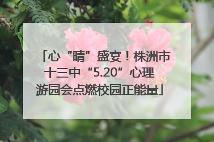 心“晴”盛宴！株洲市十三中“5.20”心理游园会点燃校园正能量