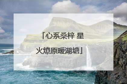 心系桑梓 星火燎原暖湖塘