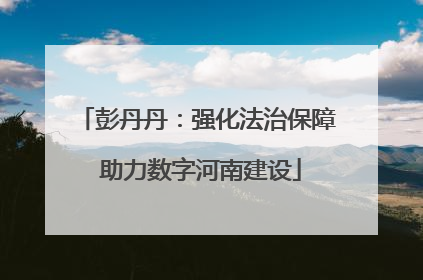 彭丹丹：强化法治保障 助力数字河南建设