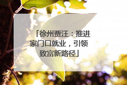 徐州贾汪：推进家门口就业，引领致富新路径
