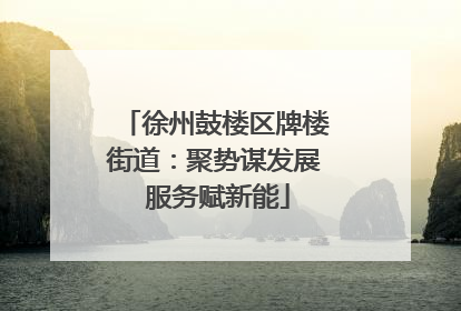 徐州鼓楼区牌楼街道：聚势谋发展 服务赋新能