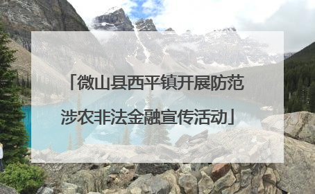 微山县西平镇开展防范涉农非法金融宣传活动