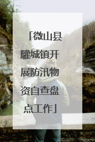微山县驩城镇开展防汛物资自查盘点工作