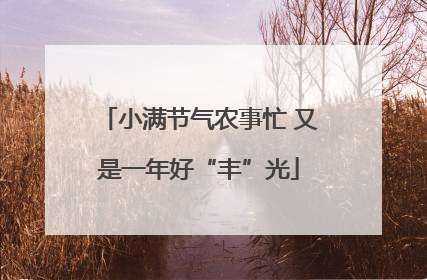 小满节气农事忙 又是一年好“丰”光
