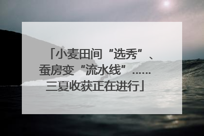 小麦田间“选秀”、蚕房变“流水线”……三夏收获正在进行
