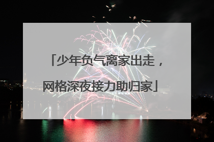 少年负气离家出走，网格深夜接力助归家