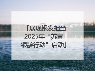 展现银发担当 2025年“苏青银龄行动”启动