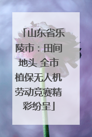山东省乐陵市：田间地头 全市植保无人机劳动竞赛精彩纷呈
