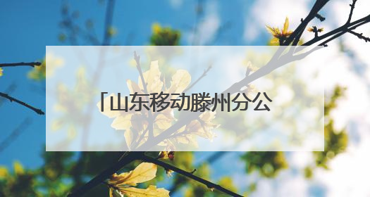 山东移动滕州分公司：“移”起“童”行，惊喜相伴