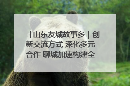 山东友城故事多｜创新交流方式 深化多元合作 聊城加速构建全球友城新格局