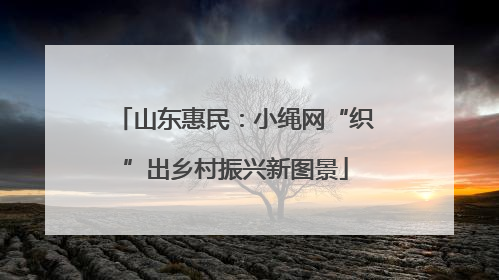 山东惠民：小绳网“织”出乡村振兴新图景