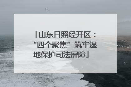 山东日照经开区：“四个聚焦”筑牢湿地保护司法屏障