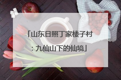 山东日照丁家楼子村：九仙山下的仙境