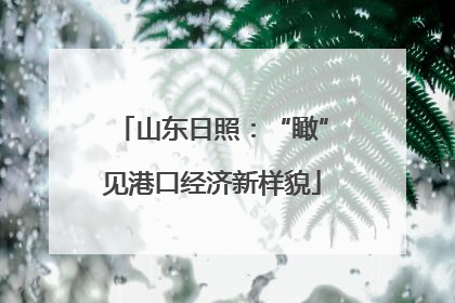 山东日照：“瞰”见港口经济新样貌