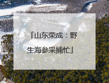 山东荣成：野生海参采捕忙