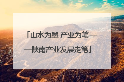山水为墨 产业为笔——陕南产业发展走笔