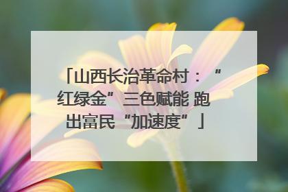 山西长治革命村：“红绿金”三色赋能 跑出富民“加速度”