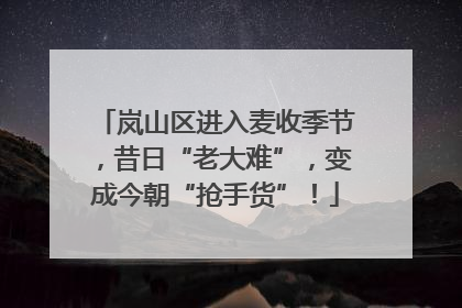 岚山区进入麦收季节，昔日“老大难”，变成今朝“抢手货”！