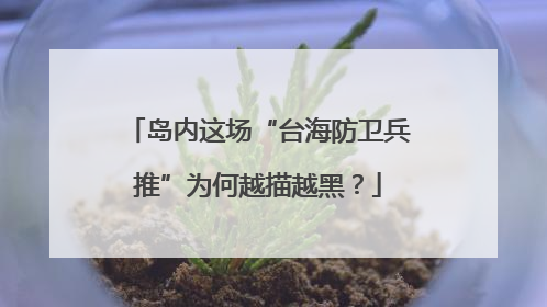 岛内这场“台海防卫兵推”为何越描越黑？