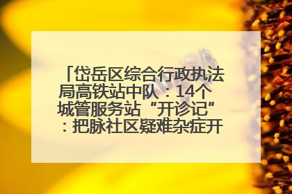 岱岳区综合行政执法局高铁站中队：14个城管服务站“开诊记”：把脉社区疑难杂症开出治理良方