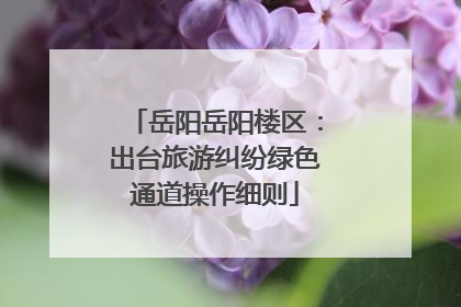岳阳岳阳楼区：出台旅游纠纷绿色通道操作细则