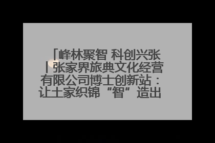 峰林聚智 科创兴张丨张家界旅典文化经营有限公司博士创新站：让土家织锦“智”造出非遗新传奇