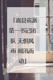 嵩县省派第一书记团队 无惧风雨 闻汛而动