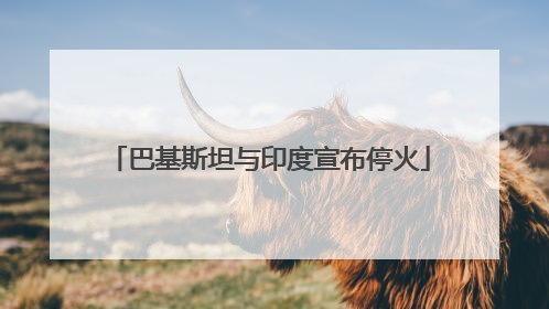 巴基斯坦与印度宣布停火