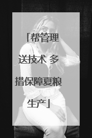 帮管理 送技术 多措保障夏粮生产