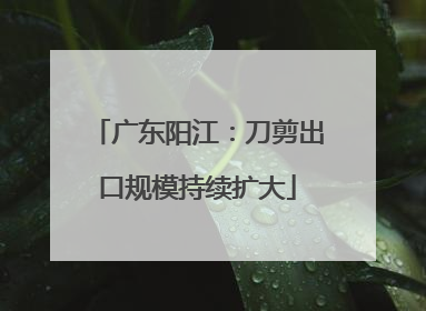 广东阳江：刀剪出口规模持续扩大